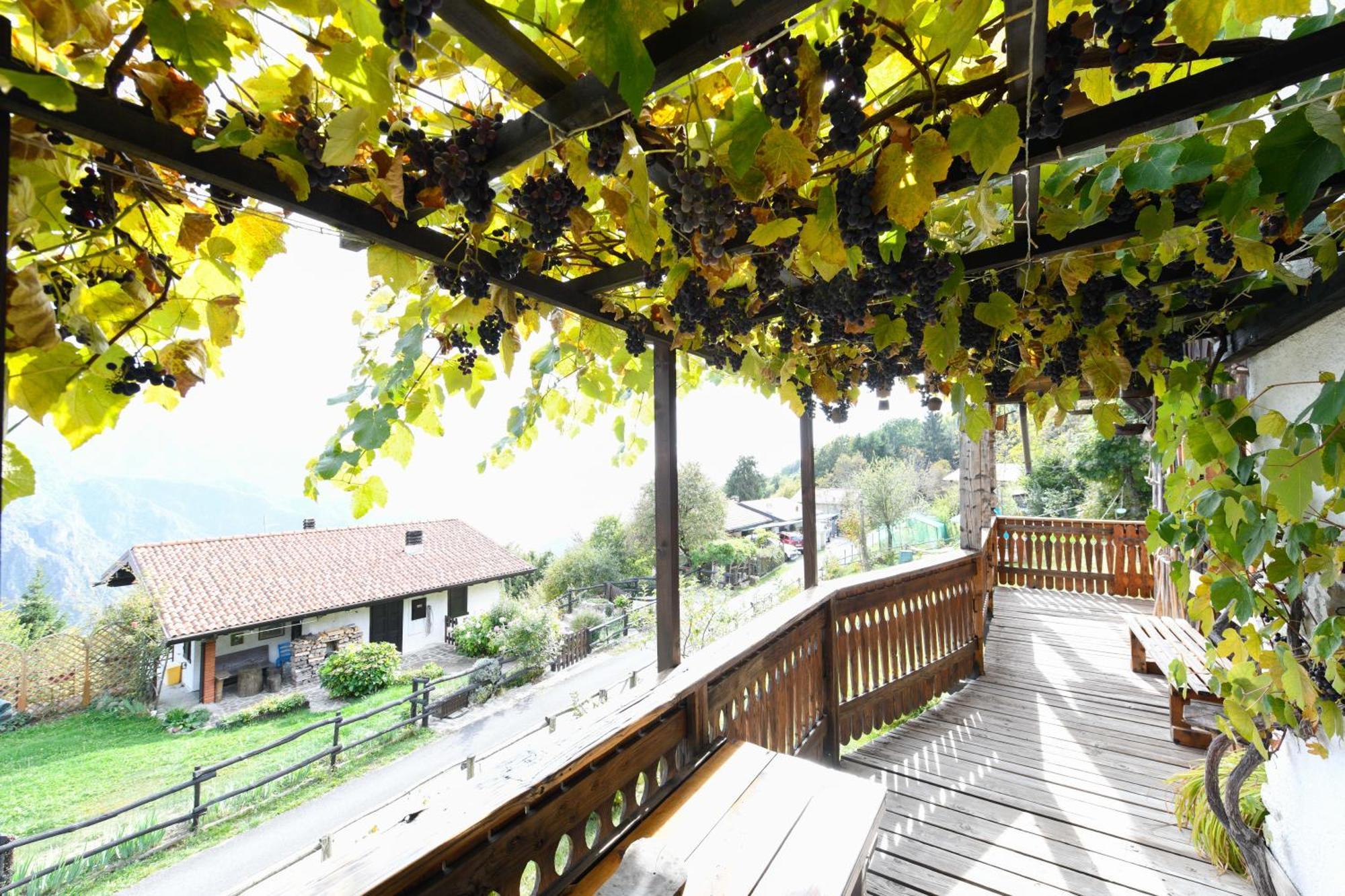 Chalet "Baita Cavacca" Crone 外观 照片